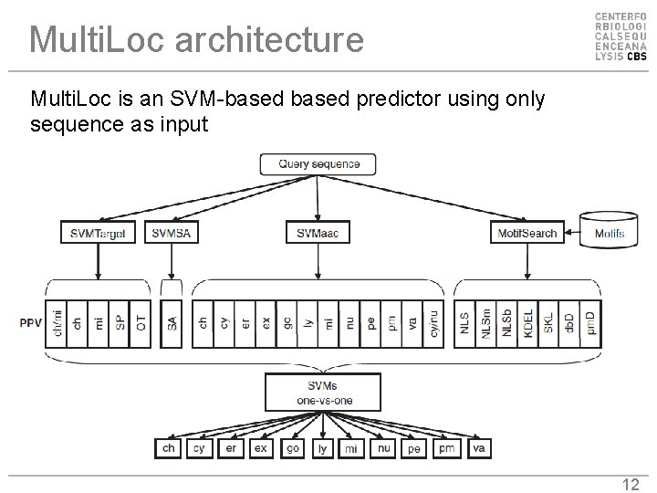 Multi. Loc architecture Multi. Loc is an SVM-based predictor using only sequence as input
