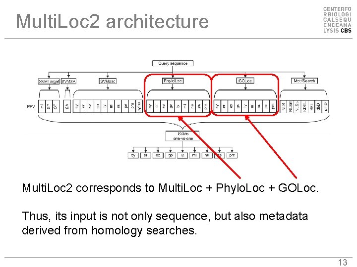 Multi. Loc 2 architecture Multi. Loc 2 corresponds to Multi. Loc + Phylo. Loc