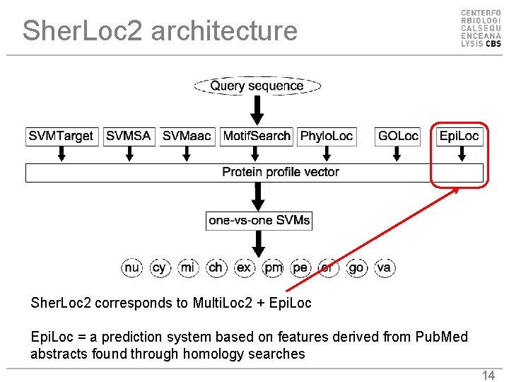 Sher. Loc 2 architecture Sher. Loc 2 corresponds to Multi. Loc 2 + Epi.