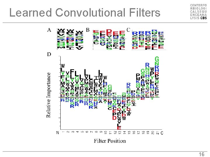 Learned Convolutional Filters 16 