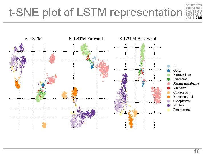 t-SNE plot of LSTM representation 18 