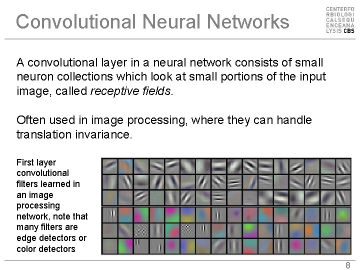 Convolutional Neural Networks A convolutional layer in a neural network consists of small neuron