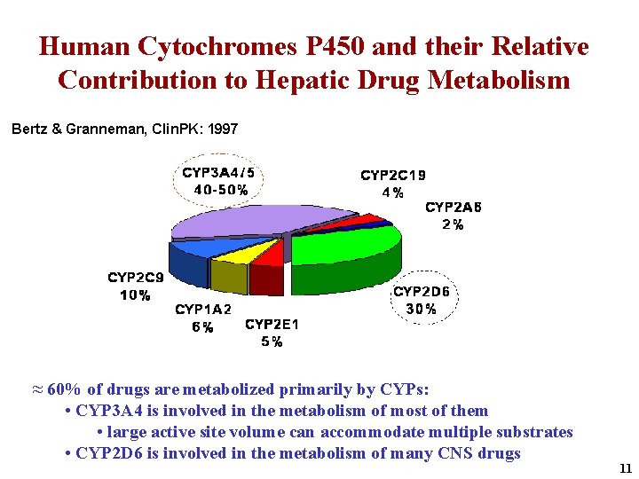 Human Cytochromes P 450 and their Relative Contribution to Hepatic Drug Metabolism Bertz &