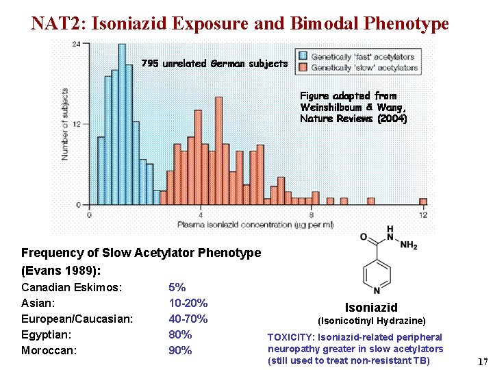 NAT 2: Isoniazid Exposure and Bimodal Phenotype Frequency of Slow Acetylator Phenotype (Evans 1989):