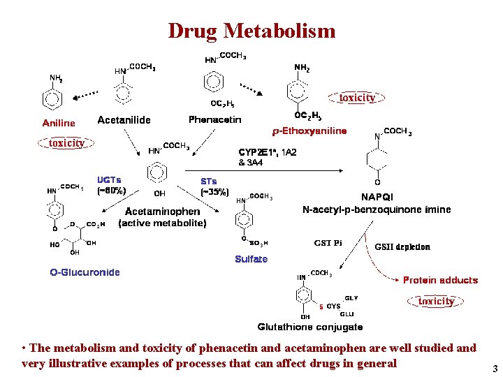 Drug Metabolism • The metabolism and toxicity of phenacetin and acetaminophen are well studied