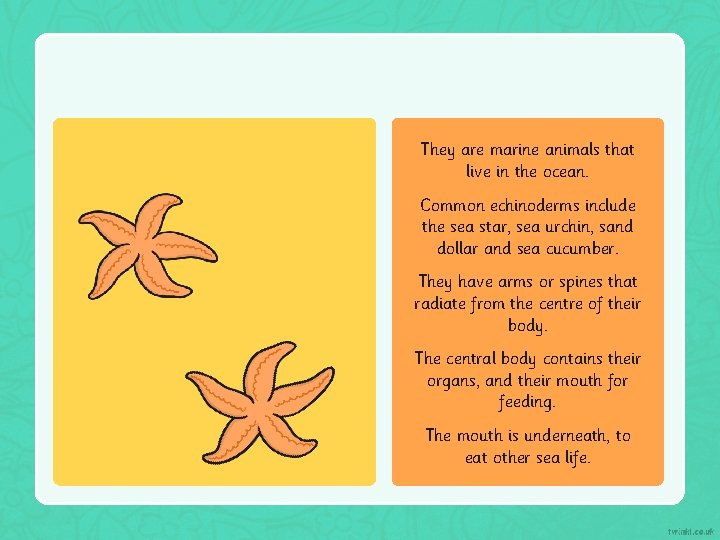 They are marine animals that live in the ocean. Common echinoderms include the sea