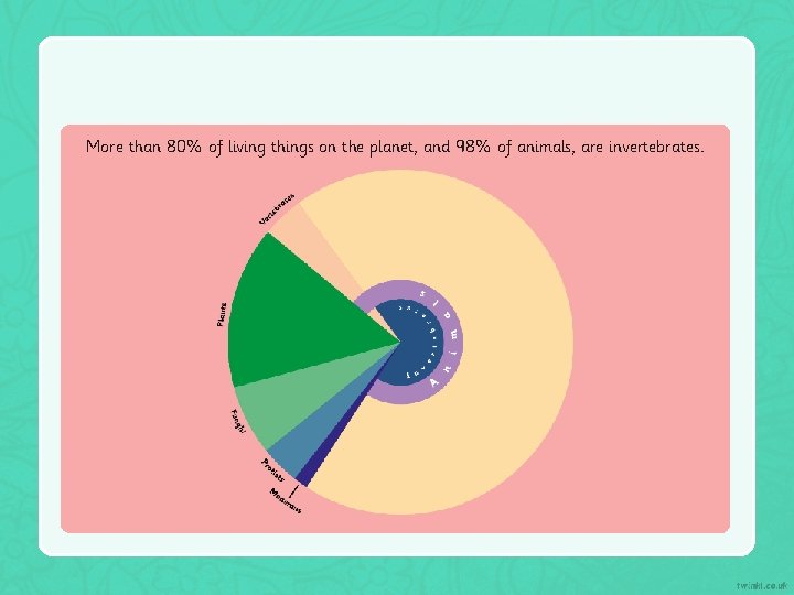 More than 80% of living things on the planet, and 98% of animals, are