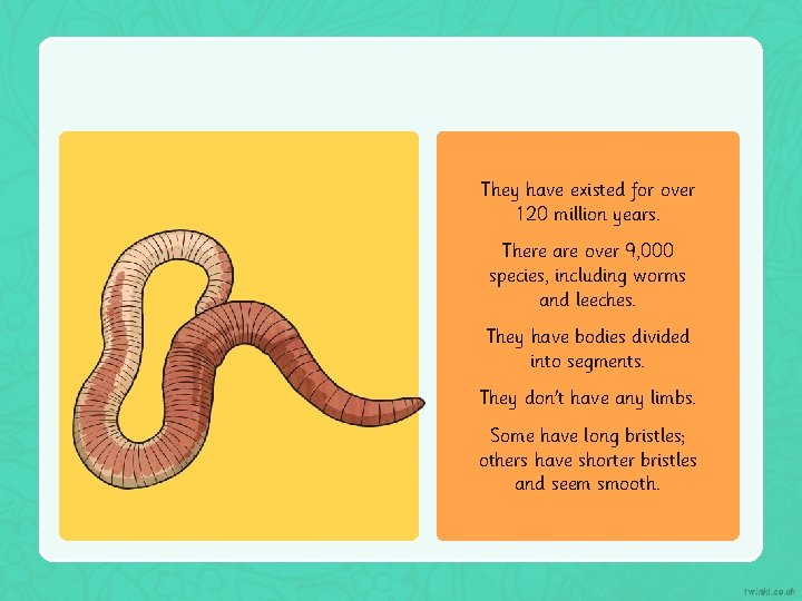 They have existed for over 120 million years. There are over 9, 000 species,