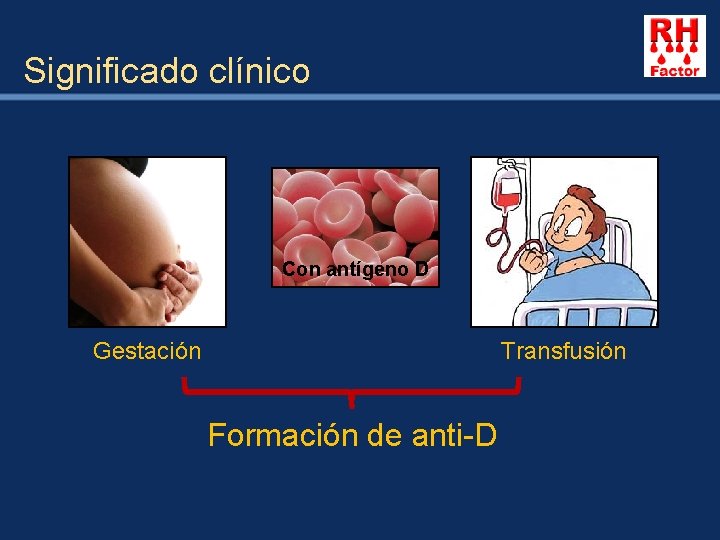Significado clínico Con antígeno D Gestación Transfusión Formación de anti-D 