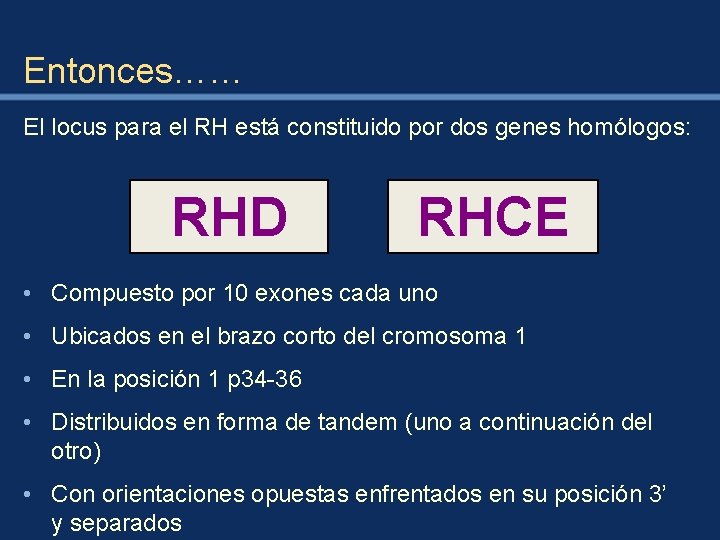 Entonces…… El locus para el RH está constituido por dos genes homólogos: RHD RHCE