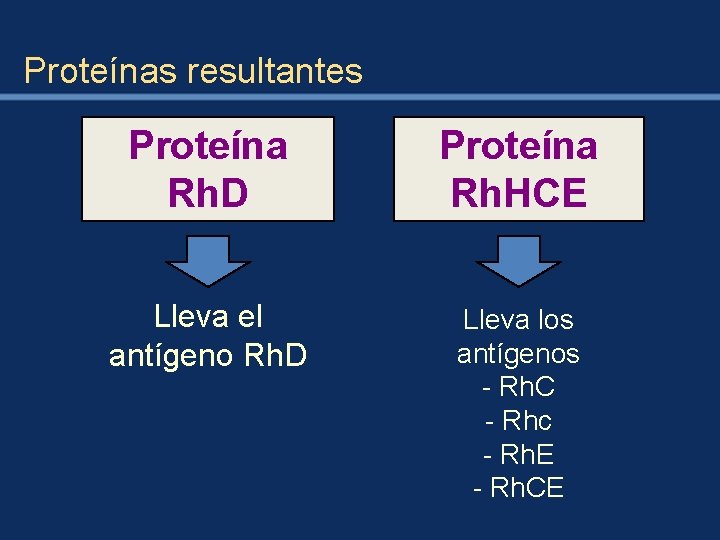 Proteínas resultantes Proteína Rh. D Proteína Rh. HCE Lleva el antígeno Rh. D Lleva