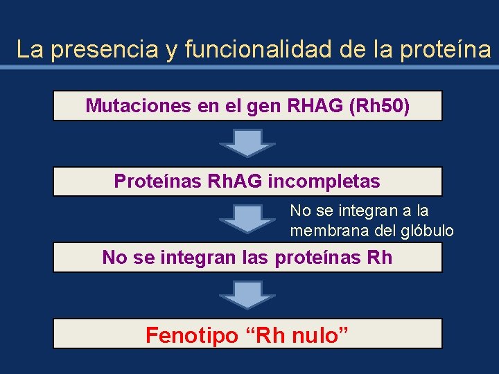 La presencia y funcionalidad de la proteína Mutaciones en el gen RHAG (Rh 50)