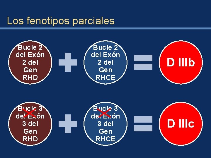 Los fenotipos parciales Bucle 2 del Exón 2 del Gen RHD Bucle 2 del