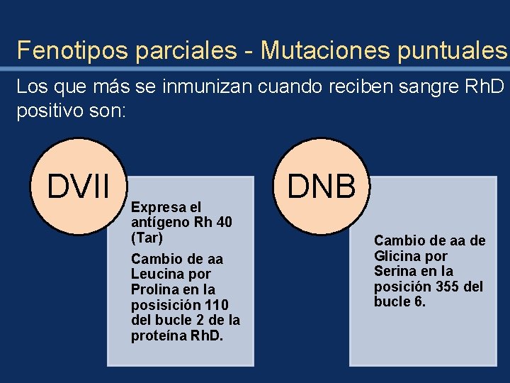 Fenotipos parciales - Mutaciones puntuales Los que más se inmunizan cuando reciben sangre Rh.