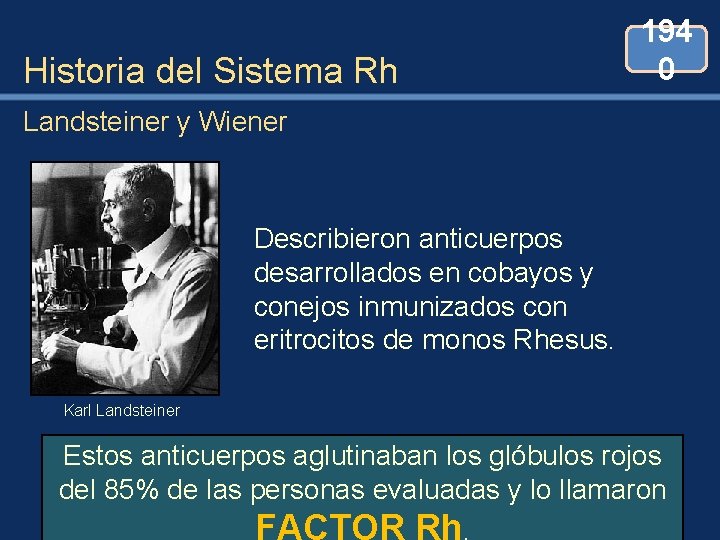 Historia del Sistema Rh 194 0 Landsteiner y Wiener Describieron anticuerpos desarrollados en cobayos