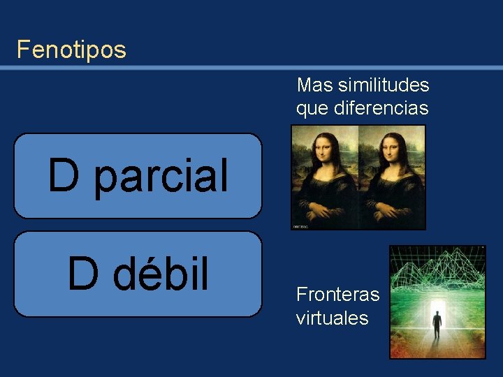 Fenotipos Mas similitudes que diferencias D parcial D débil Fronteras virtuales 