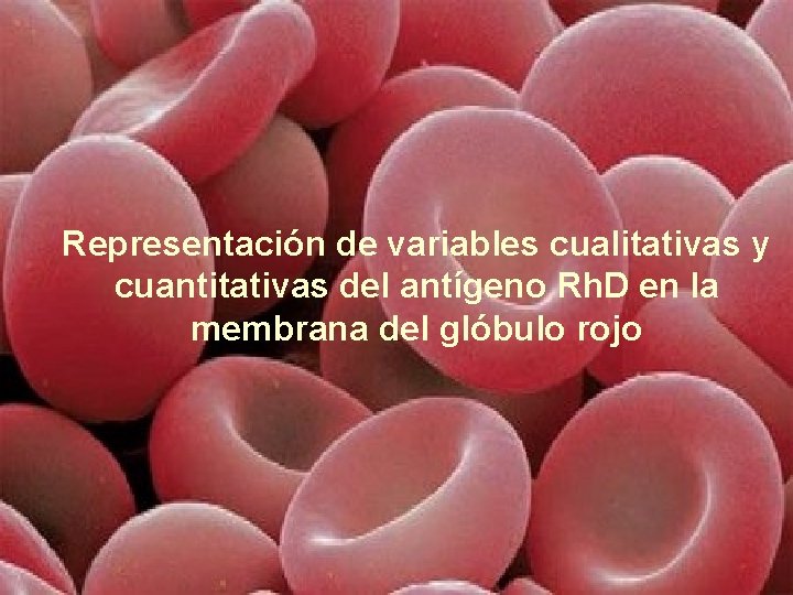 Representación de variables cualitativas y cuantitativas del antígeno Rh. D en la membrana del