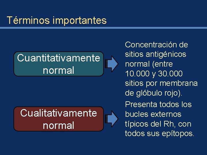 Términos importantes Cuantitativamente normal Cualitativamente normal Concentración de sitios antigénicos normal (entre 10. 000