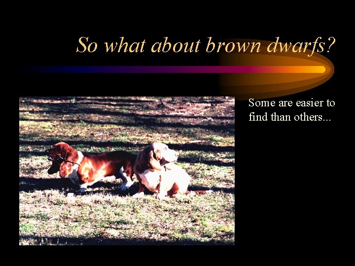 So what about brown dwarfs? Some are easier to find than others. . .