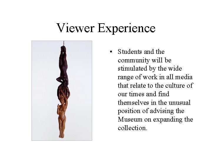 Viewer Experience • Students and the community will be stimulated by the wide range