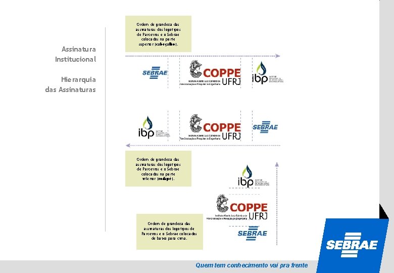 Assinatura Institucional Ordem de grandeza das assinaturas dos logotipos de Parceiros e o Sebrae