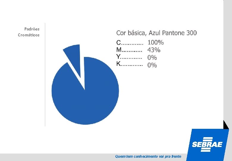 SEBRAE Padrões Cromáticos Quem tem conhecimento vai pra frente 