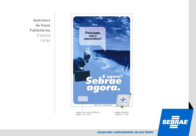 SEBRAE Assinatura de Peças Publicitárias Exemplo Cartaz Quem tem conhecimento vai pra frente 