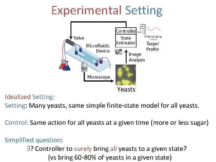 Experimental Setting Yeasts Idealized Setting: Many yeasts, same simple finite-state model for all yeasts.