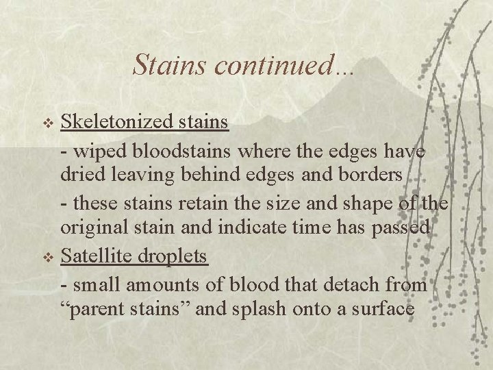 Stains continued… Skeletonized stains - wiped bloodstains where the edges have dried leaving behind