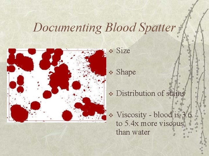 Documenting Blood Spatter v Size v Shape v Distribution of stains v Viscosity -