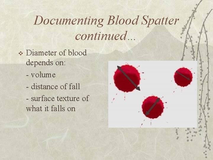 Documenting Blood Spatter continued… v Diameter of blood depends on: - volume - distance