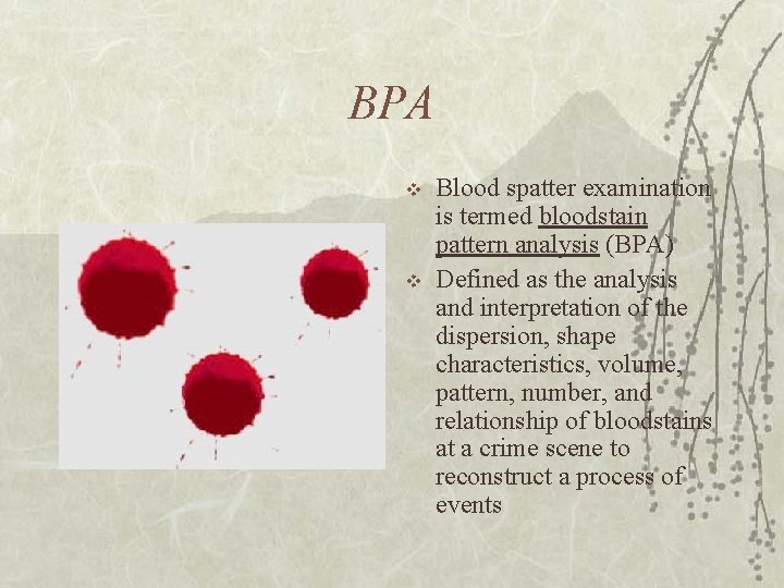 BPA v v Blood spatter examination is termed bloodstain pattern analysis (BPA) Defined as