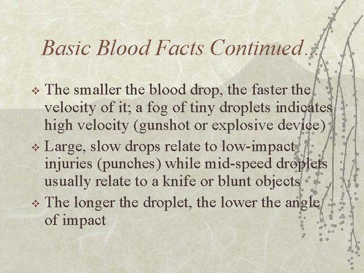 Basic Blood Facts Continued… The smaller the blood drop, the faster the velocity of