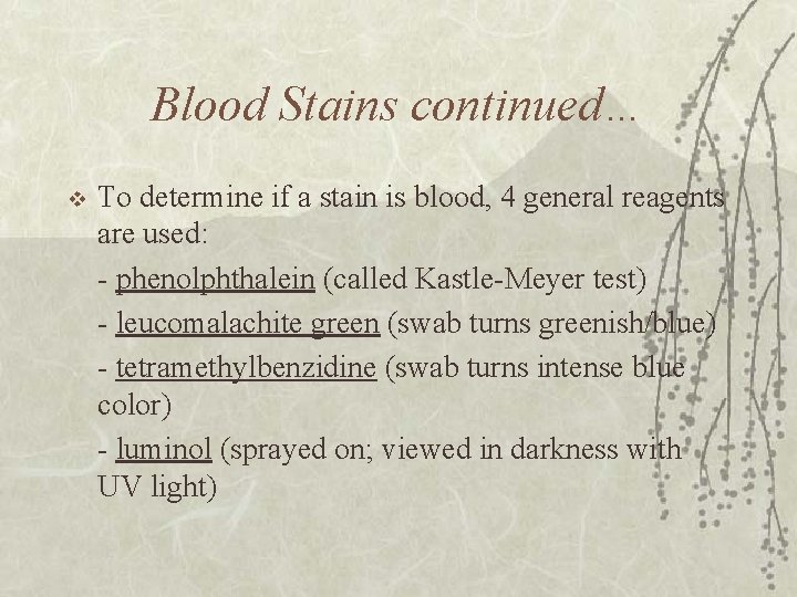 Blood Stains continued… v To determine if a stain is blood, 4 general reagents