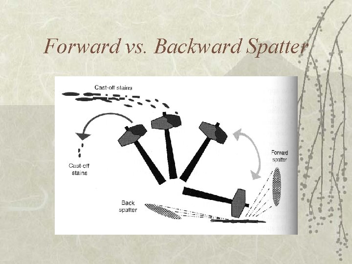 Forward vs. Backward Spatter 