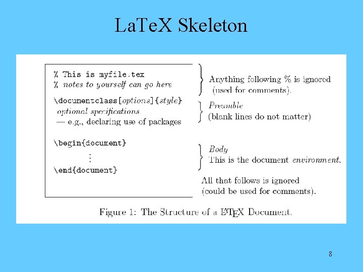 La. Te. X Skeleton 8 