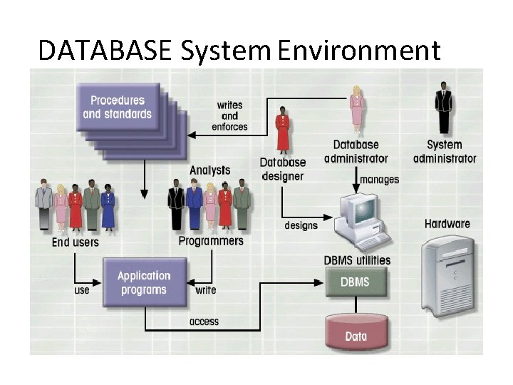 DATABASE System Environment DATABASE System Environment