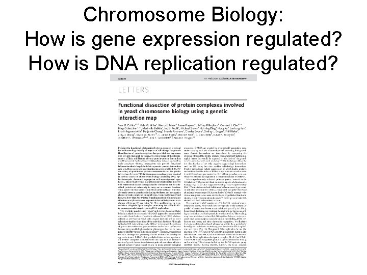 Chromosome Biology: How is gene expression regulated? How is DNA replication regulated? 