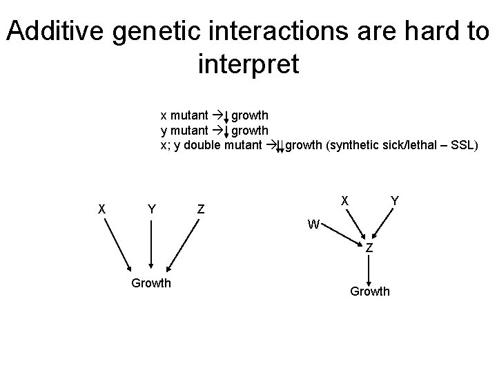 Additive genetic interactions are hard to interpret x mutant growth y mutant growth x;