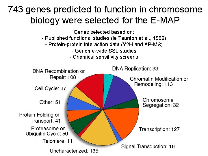 743 genes predicted to function in chromosome biology were selected for the E-MAP Genes