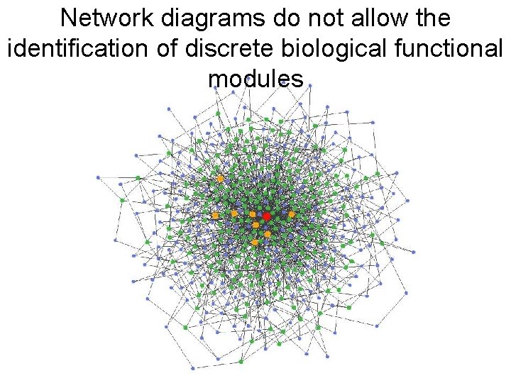 Network diagrams do not allow the identification of discrete biological functional modules 