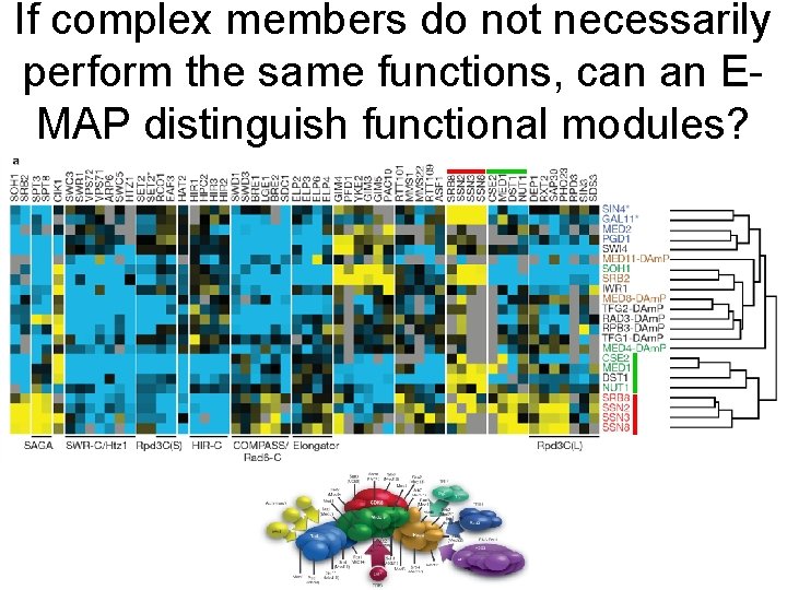 If complex members do not necessarily perform the same functions, can an EMAP distinguish