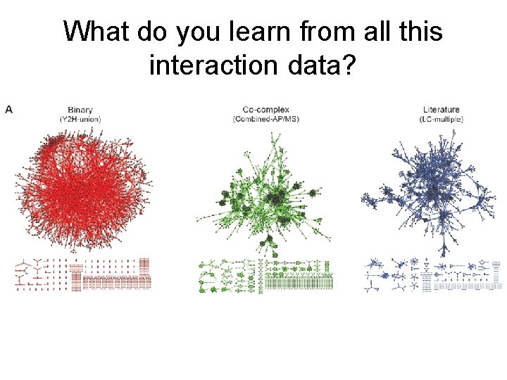 What do you learn from all this interaction data? 