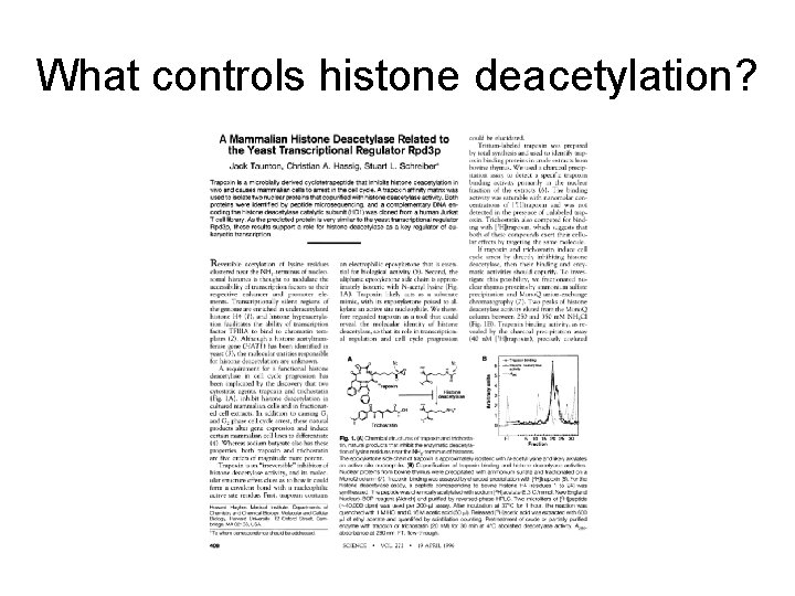 What controls histone deacetylation? 