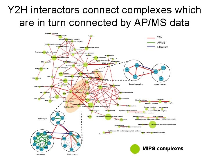 Y 2 H interactors connect complexes which are in turn connected by AP/MS data