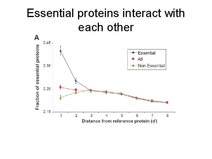 Essential proteins interact with each other 