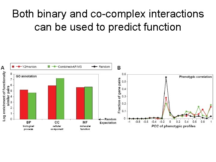 Both binary and co-complex interactions can be used to predict function biological process cellular