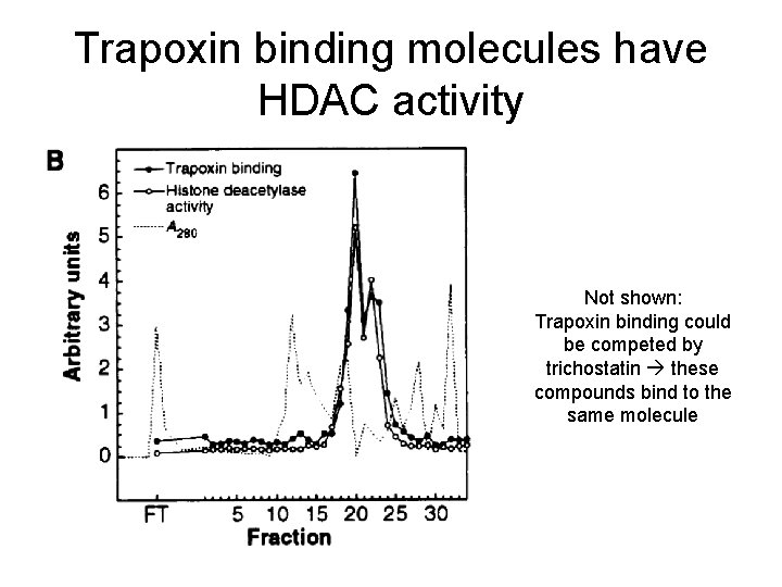 Trapoxin binding molecules have HDAC activity Not shown: Trapoxin binding could be competed by