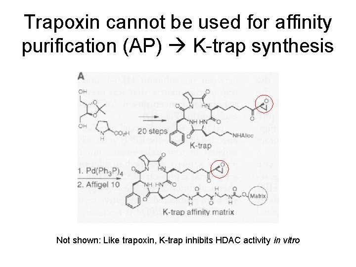 Trapoxin cannot be used for affinity purification (AP) K-trap synthesis Not shown: Like trapoxin,