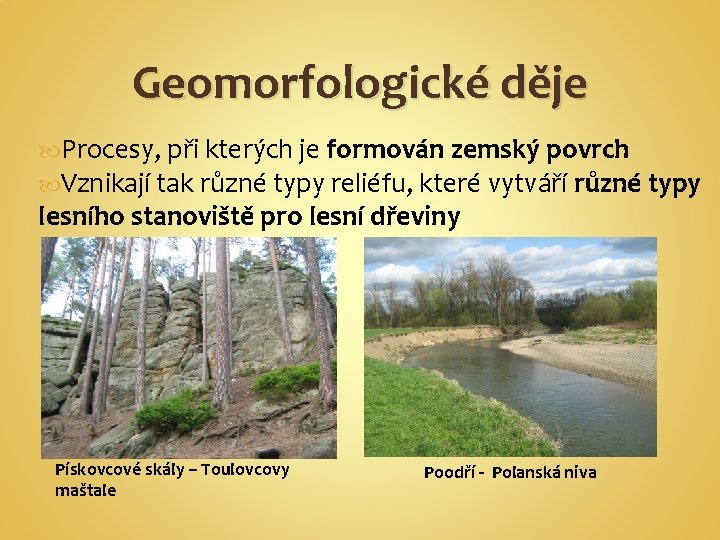 Geomorfologické děje Procesy, při kterých je formován zemský povrch Vznikají tak různé typy reliéfu,